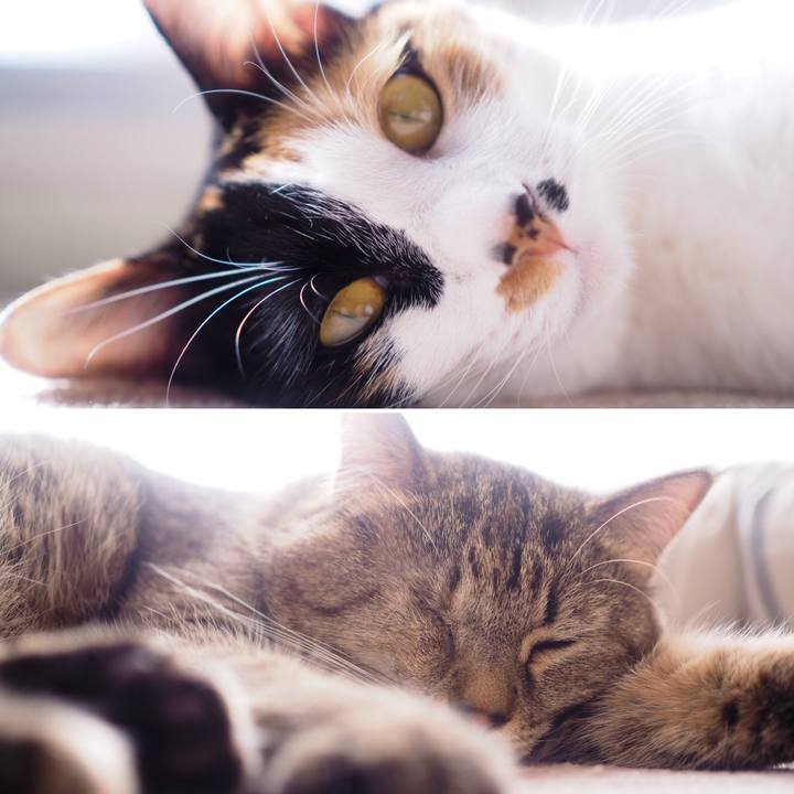 C1c12e30 ee0c 4e7f bd1d a011191a3eb1 1515309627208