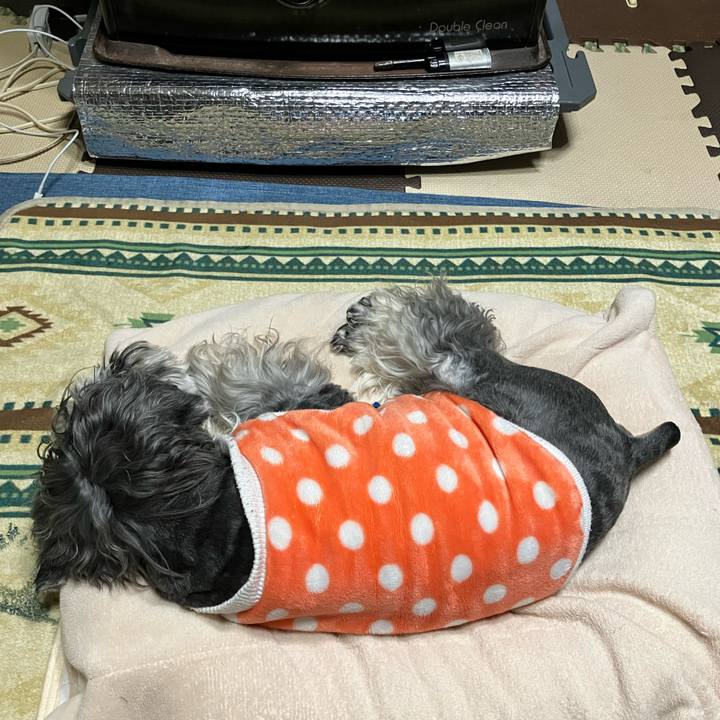 C1c131cd f147 4601 be68 574bb7ea117b 1739710006399