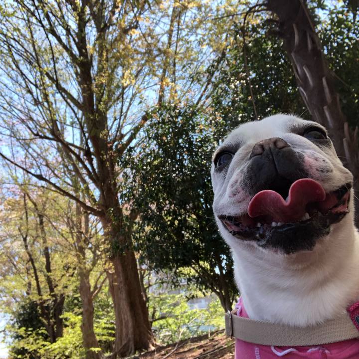 C1c1391c 1ff5 40d3 9f8a ee4d2f6f6660 1555136148449