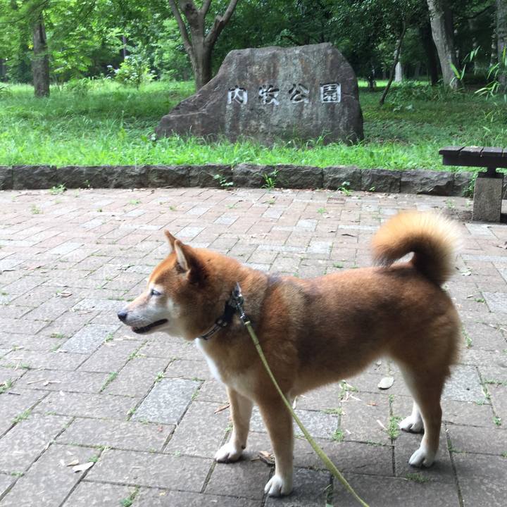 C1c177d4 39b1 4713 8c9f fa94f85fb3e4 1592460560169