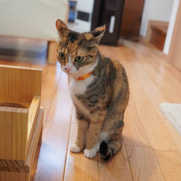 C1c17920 65cd 484b 8774 606e6004013b 1613905863966