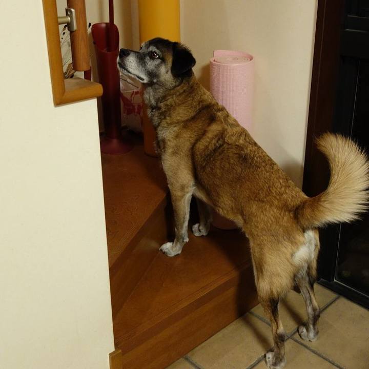 C1c1a691 ae21 4b79 9610 02e9a6715f88 1511434946872