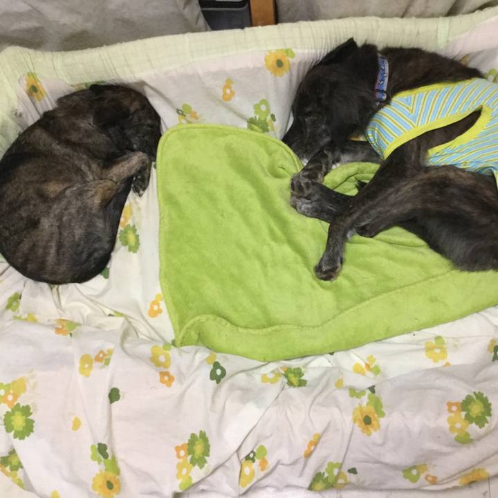 C1c1b2d0 d7f5 4eec b1ca 9d9c916c2bea 1609420346430