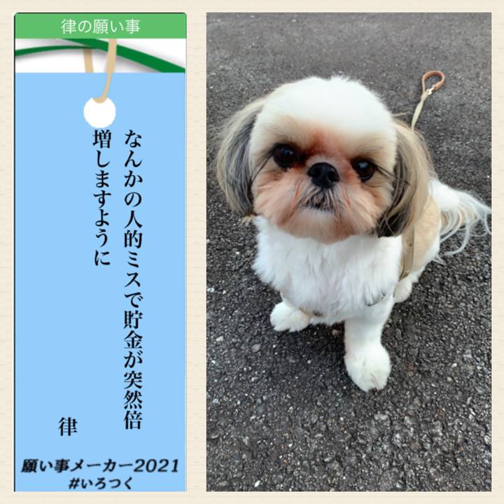 C1c25010 b25d 4c56 8958 64f5ebb62e80 1625668584816