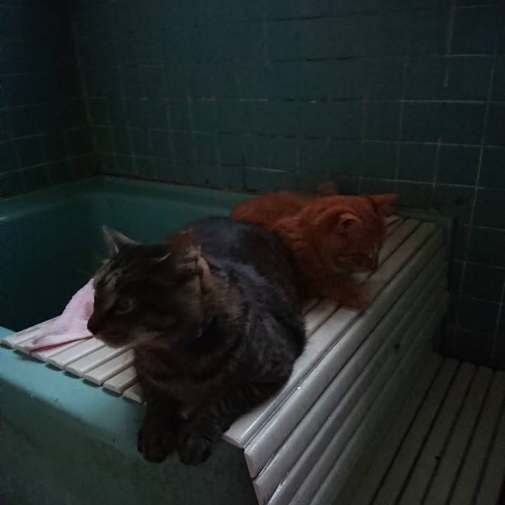 C1c28254 26cb 4ad0 ad19 53977f7c9692 1656671376836