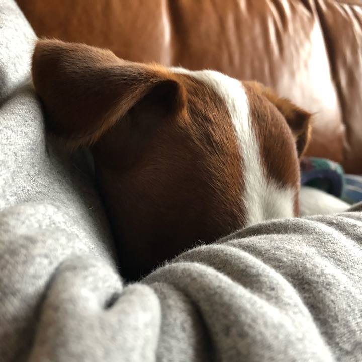 C1c288f5 0513 44e7 9168 145cddbd5706 1544175762984