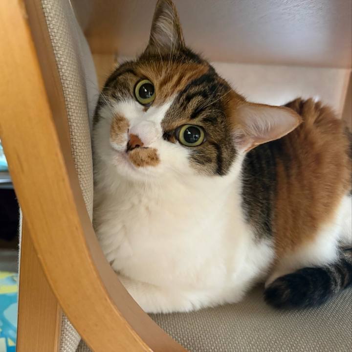 C1c28fda 0564 4c2f 9393 309b0b7a017e 1768882931810