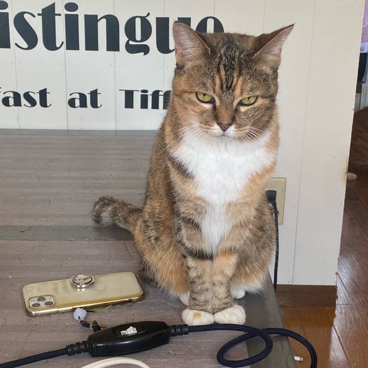 C1c2b985 9c5b 4fd1 9c8f f33e01bd0627 1666712362526