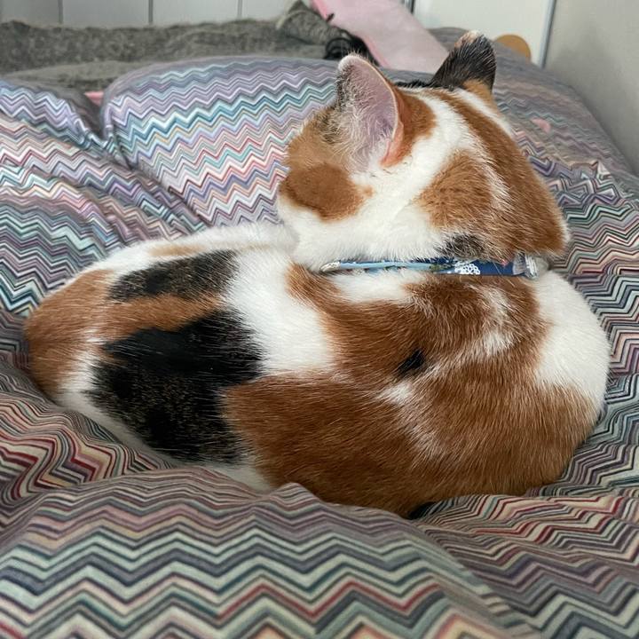 C1c2bde5 0492 4ee5 aed1 4b9b591aa8f7 1706052911899