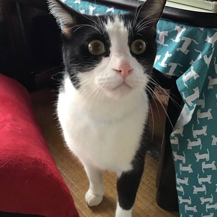 C1c2bee0 0f5c 4e6e b1de 2d6758b5b1af 1759379843289