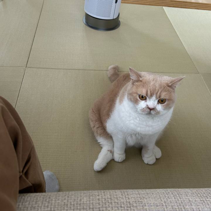 C1c2f5c5 744b 493d afe4 da39928e832e 1731817107631