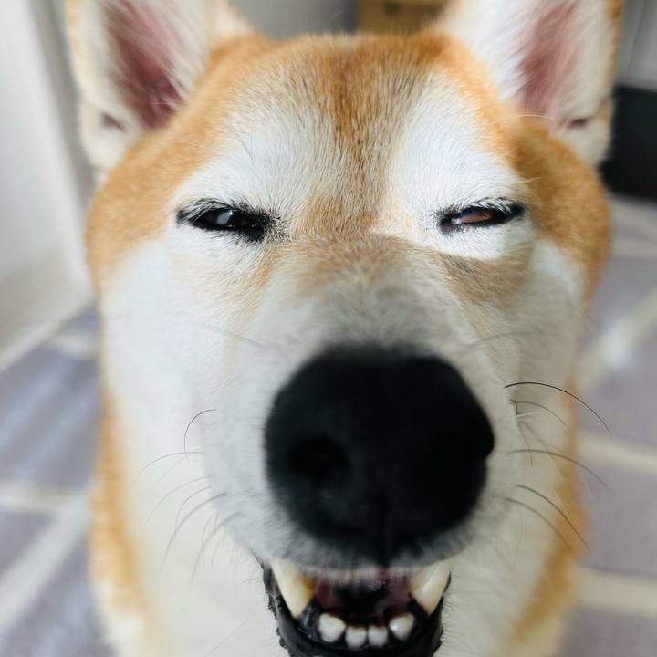 C1c3135c 7d5a 4194 9fa2 63df3dd90ab0 1758943996829