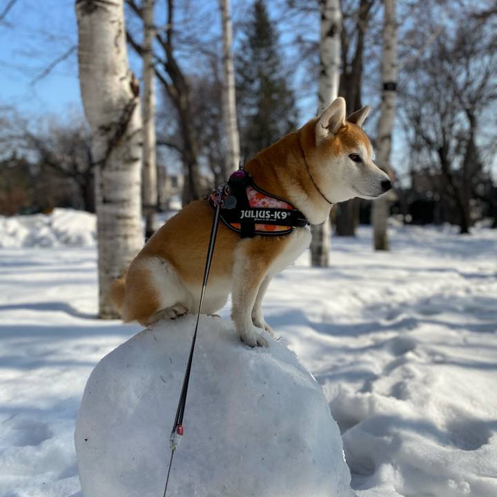 C1c330ee 7f04 4896 9313 72fcb9c936d2 1615508019147