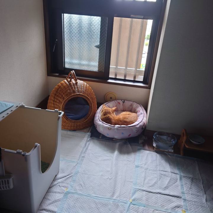 C1c3428b 5f98 4daa a0bf 704e4494e764 1750667987244