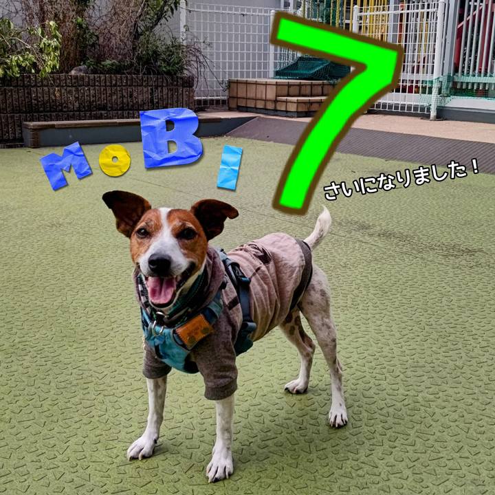 C1c365a2 07aa 430e b780 25b76b17f5bd 1722634057060