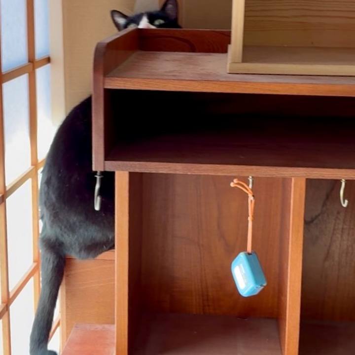 C1c37a00 0ab2 44d2 947f 3047af6c58c5 1771338122534