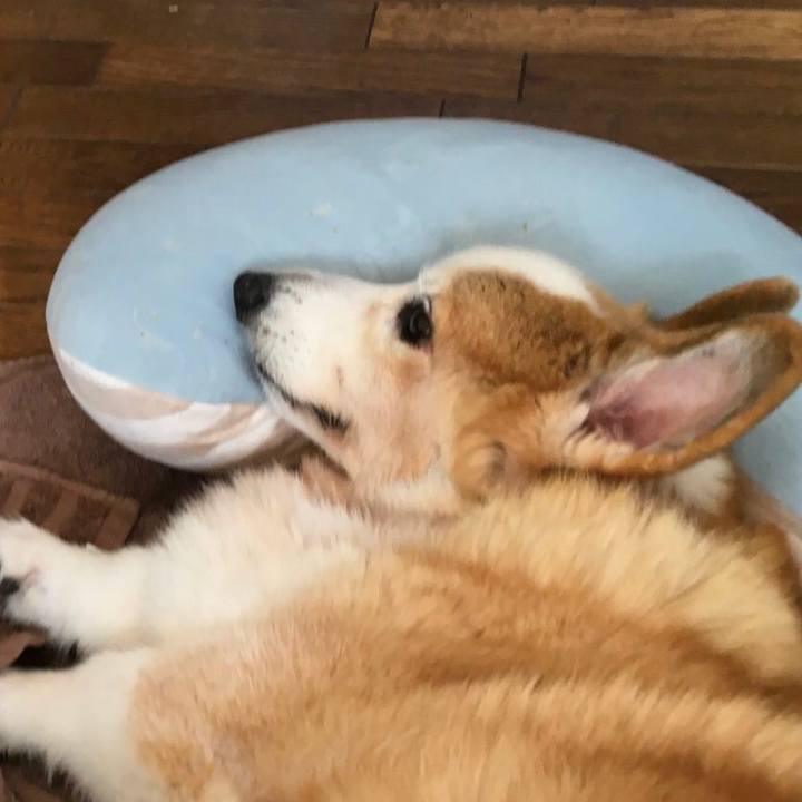 C1c37de8 97fa 4513 a716 8ce8f11f2c81 1641783193925