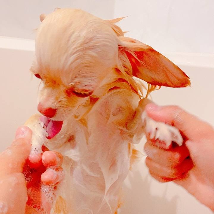 C1c37e61 533f 4d9b aecc 4b97ad7d1bf1 1626265212947