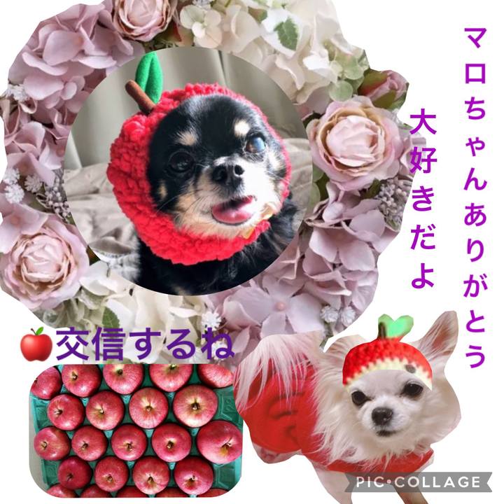 C1c39cc6 73ad 46c4 953d c3feeeb4d299 1642651537462