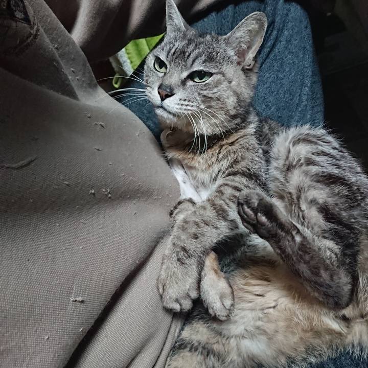 C1c3b436 3c3f 4e28 9a53 22468641bf26 1588276511594