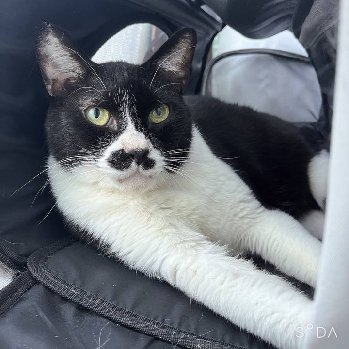 C1c3d1b7 1d63 4f1e a794 17cbd6ff04d6 1689764235897