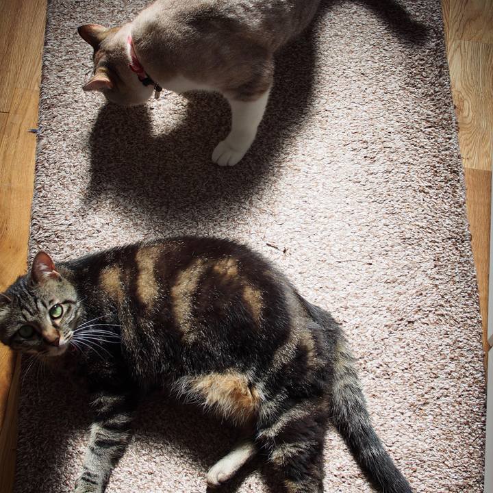 C1c3f951 c61a 43fd b023 517a838df3e6 1594086811349