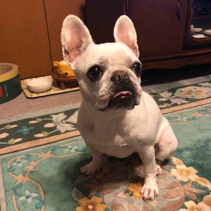 C1c4052c b824 4a63 a155 801d4aa34b3e 1625398962700