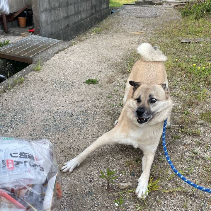 C1c413fc 7f17 40b1 a759 89951aeb5488 1653306426792