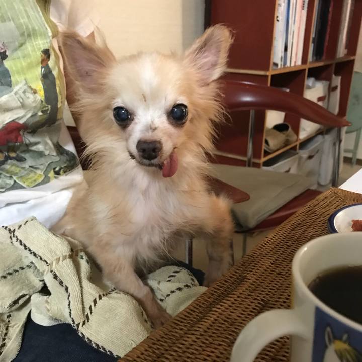 C1c48046 0aef 46d7 b741 553871134f1b 1508257419346