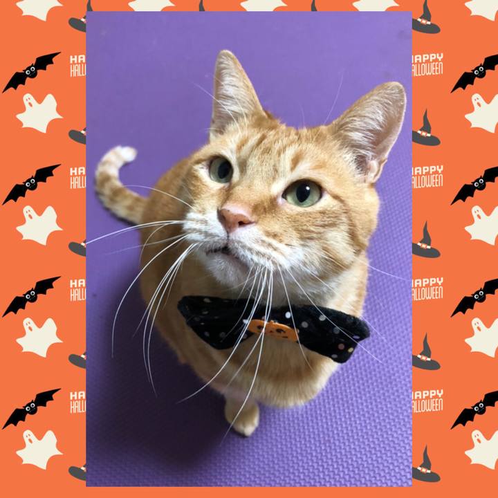 C1c49b6e a657 4755 a0cb b1acf0659193 1603970259347