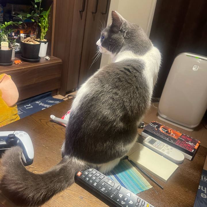 C1c4b65d a5ff 4a97 be3e a176ba68a12c 1745401536137