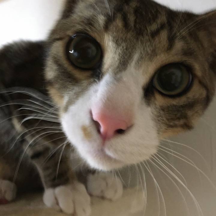 C1c4b9b9 433b 4bc0 9643 8b69a0bb1ccd 1667031974588