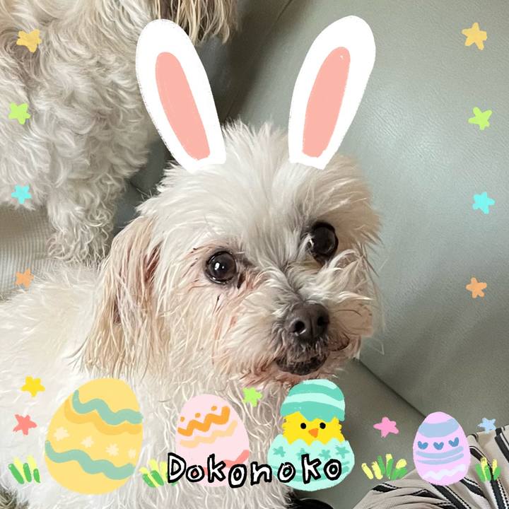 C1c4facc 49d2 48e9 9736 3e8dcaa6e8fc 1712199360201