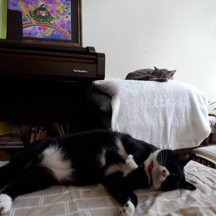 C1c4fc8e 7481 491f 89a7 819e5d29308f 1598774715351