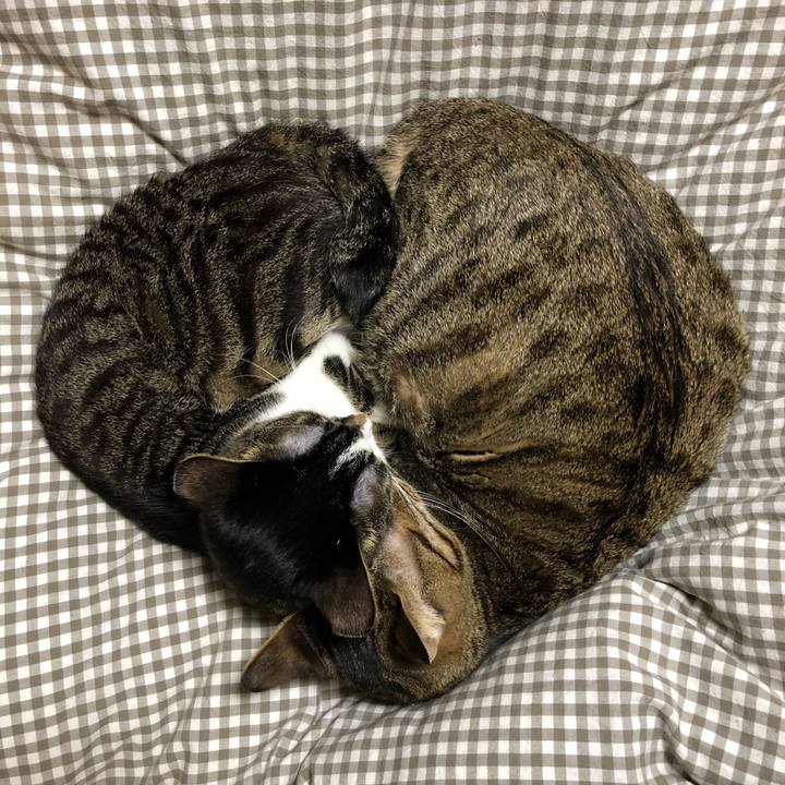 C1c5005e 4356 47c5 bba0 5380b5bd6f8c 1519059271745