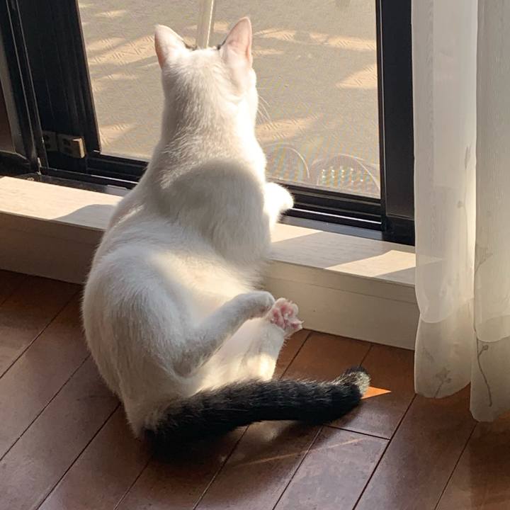 C1c51aa9 acf9 426b a666 402bbfd42194 1622531283805