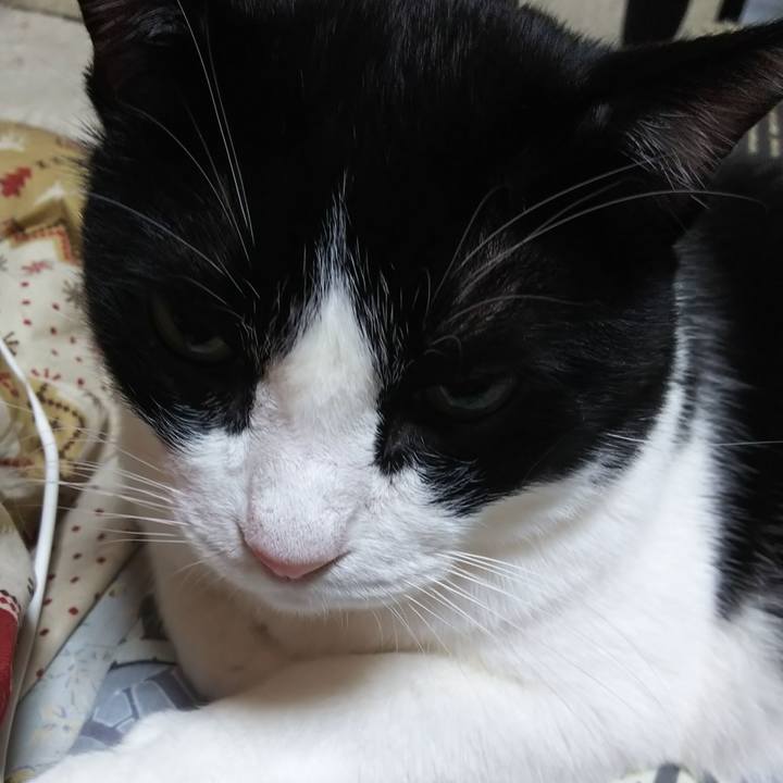 C1c53adf b757 4896 a03a dfa6eb878713 1574559861957