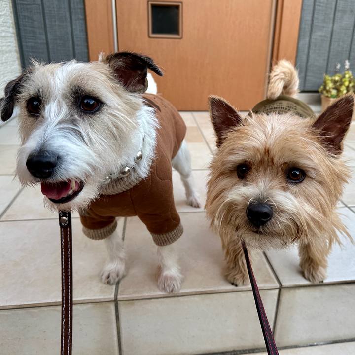 C1c53cda b0c6 4400 98bf 083947196858 1766942130396