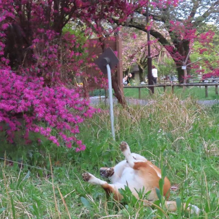 C1c53e6c 3fbd 4f4b 8665 ea415e2e3aaf 1650153323774