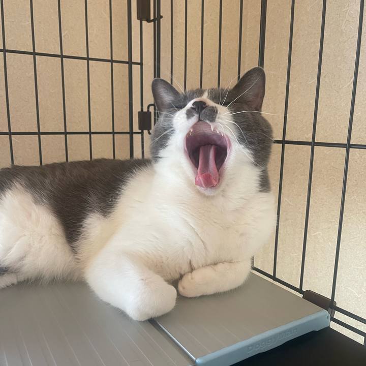 C1c554b5 10c2 4d68 b2ad bff3a81fb3cc 1695598192002