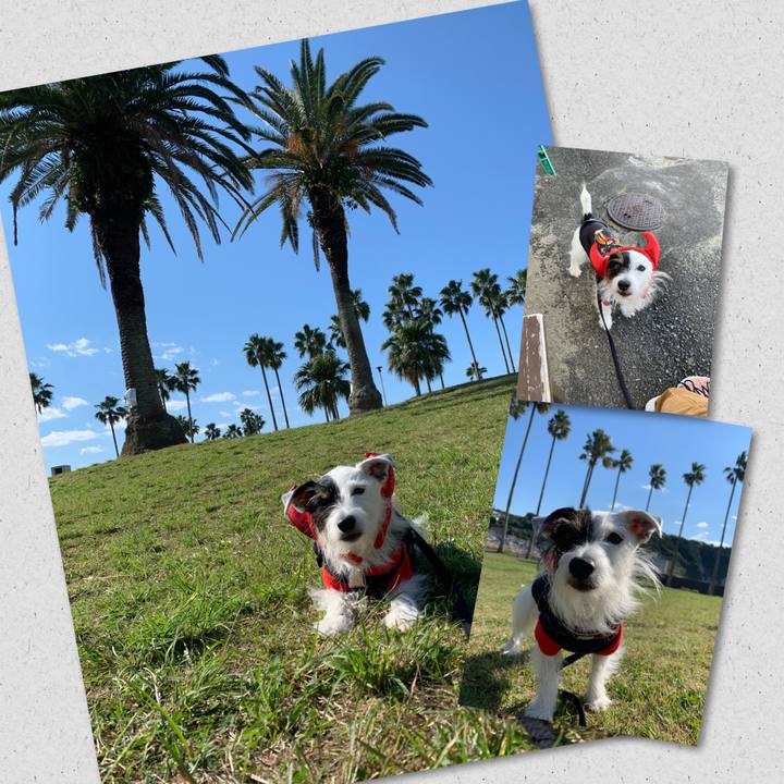 C1c560e0 4dc3 48a0 b0ed b661e0848053 1667006417994