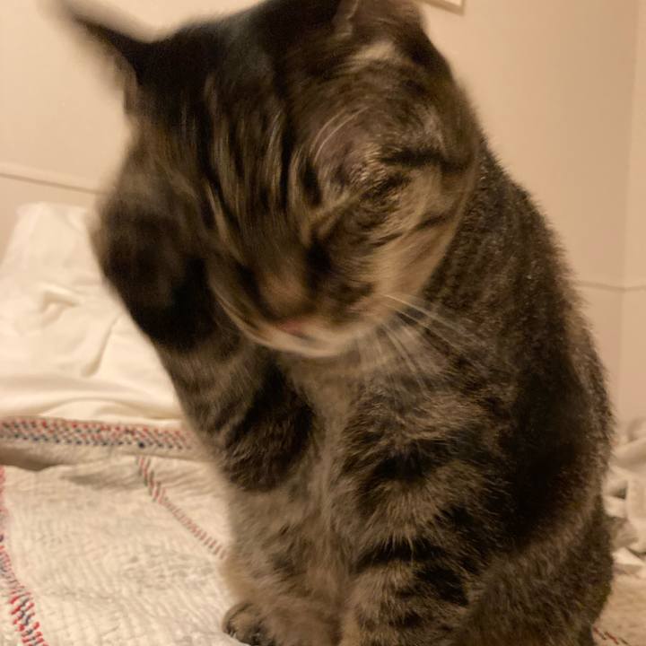 C1c5f956 82ce 4e06 b53f 60c3e03bac98 1743563288303