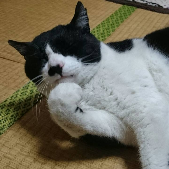 C1c61872 46b4 4cc8 83f8 d5bed8e7e475 1523710725733