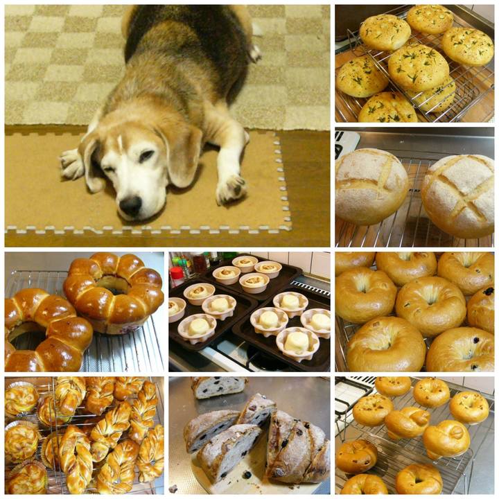 C1c6351b 2991 4171 88b9 2b998f196f6d 1667871062273