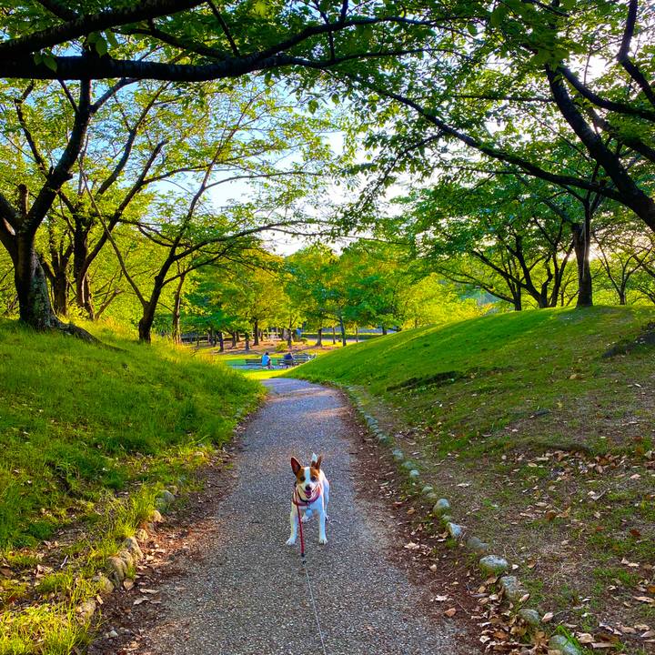 C1c69157 6e92 4413 97c5 153585f45760 1589204389761