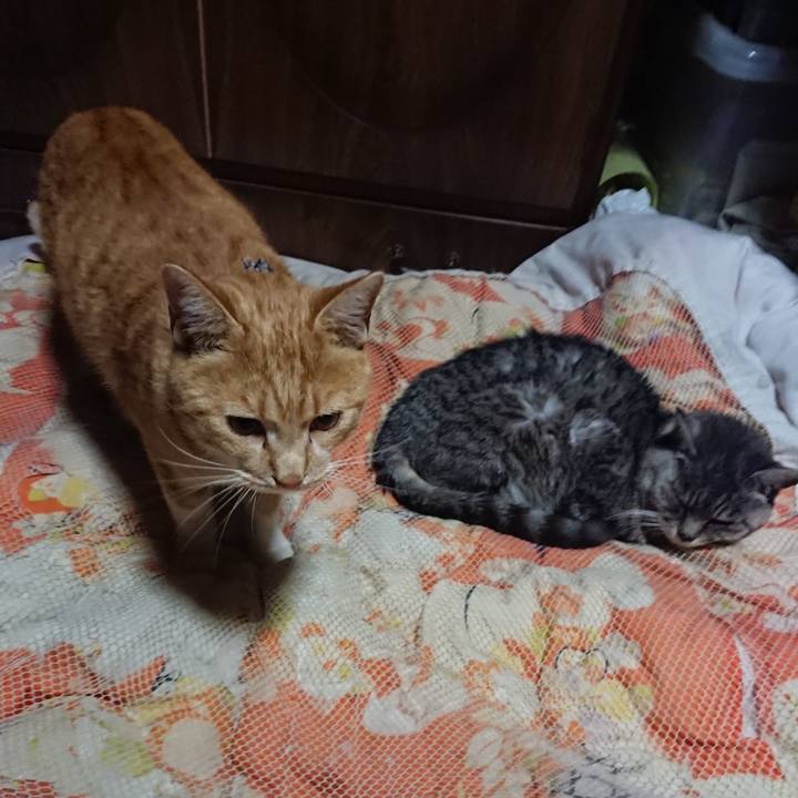 C1c6b6db 81e8 4e61 98a8 0b59d97b6333 1572612263260