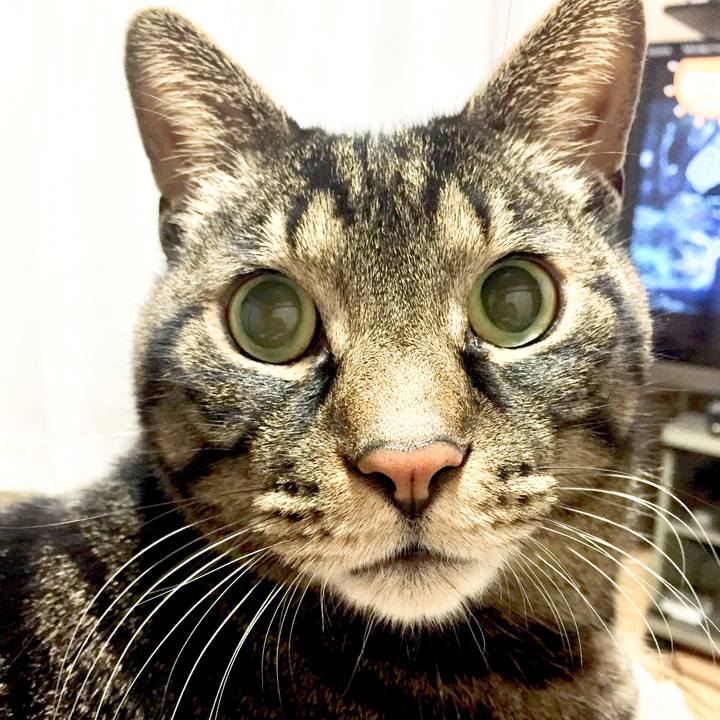 C1c6bd04 2acc 49e5 8ac6 dbcf68b5c83a 1615611681843