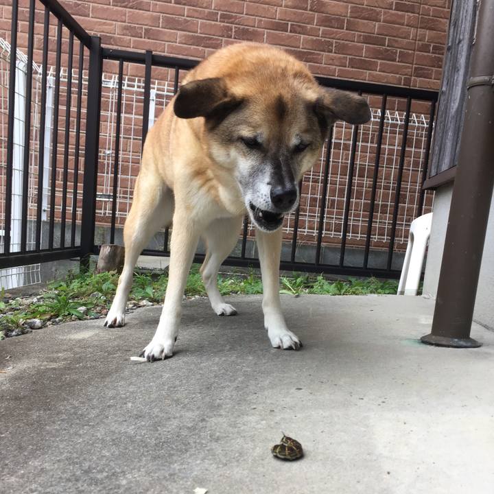 C1c6c9d8 516d 492c 90dc b7ce77697d1a 1539598692855