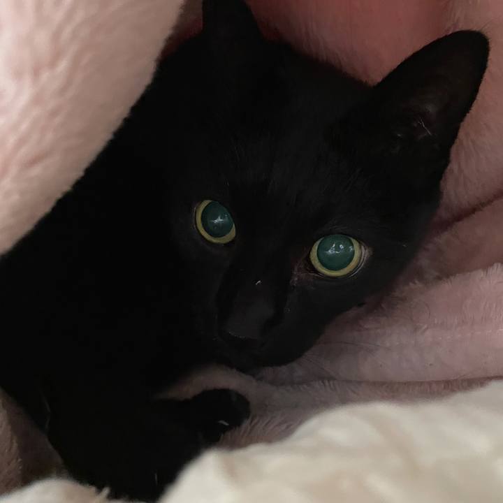 C1c6d75f 541a 4d69 87a8 a244a983f9ac 1613178840765