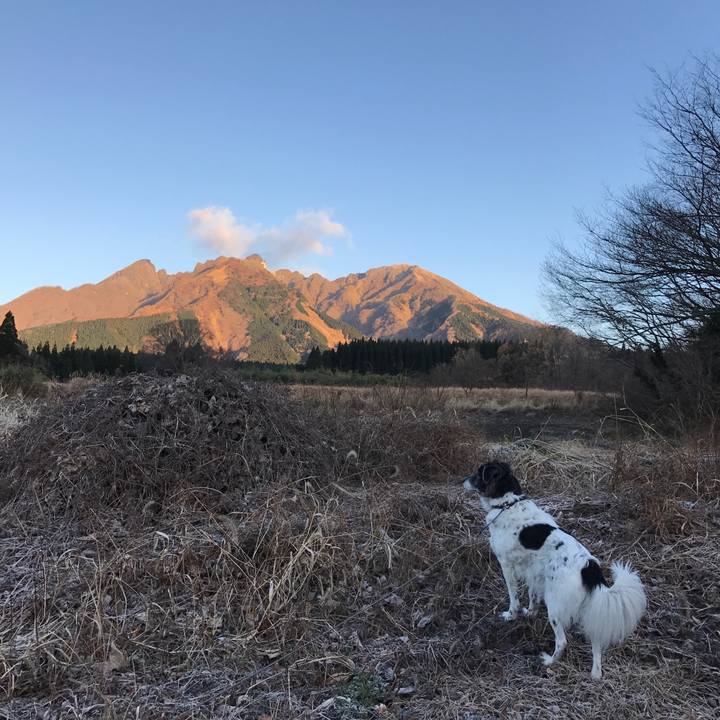 C1c6ee7d 330e 409c a70a 758ec8ce6ddd 1513127992309